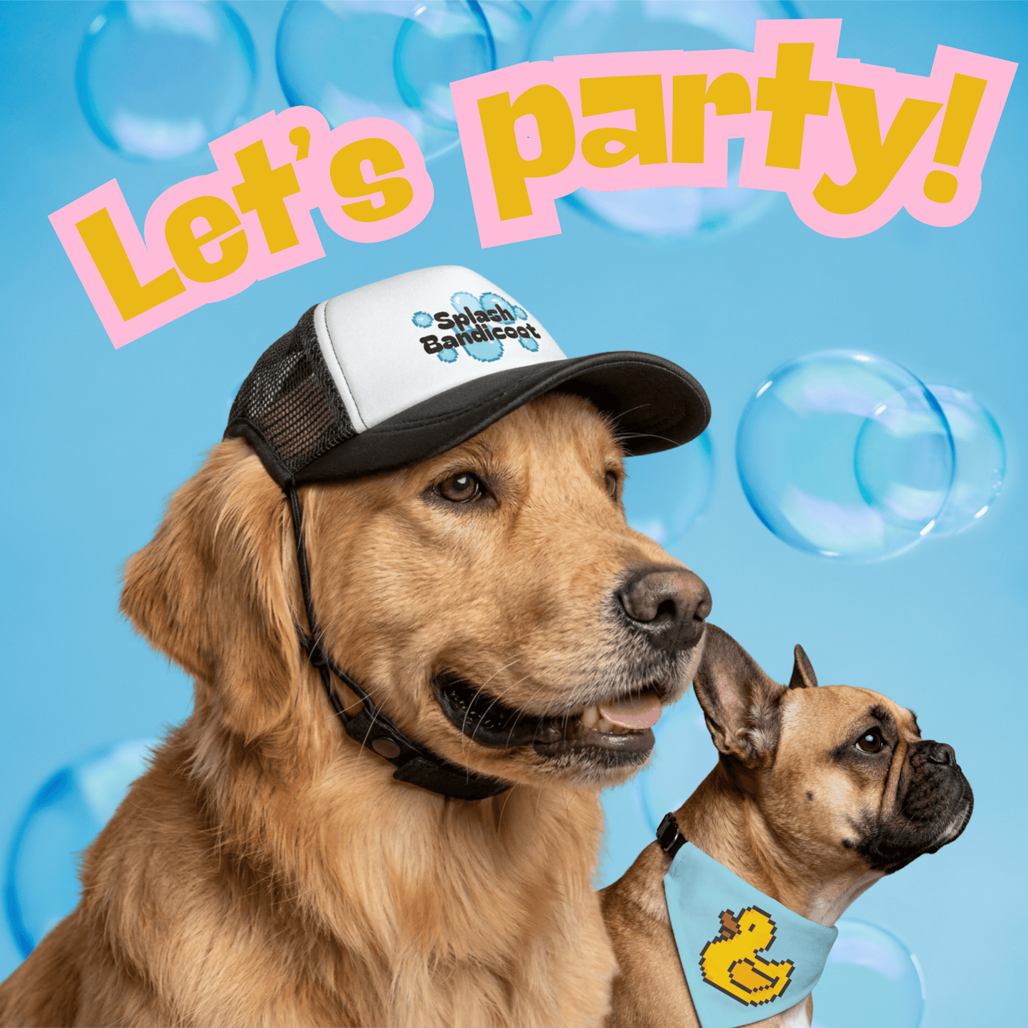 Pup Swag Bundle