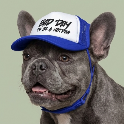 “Bad Day to Be a Hotdog” Matching Dog Foam Cap