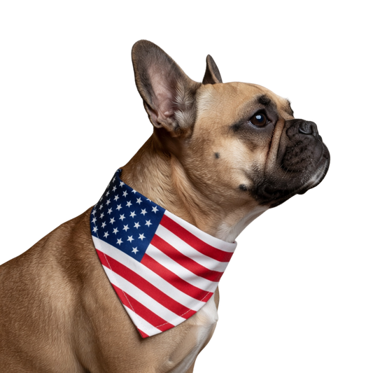 American Flag Clip-On Pet Bandana — Patriotic Dog & Cat Collar Accessory for 4th of July
