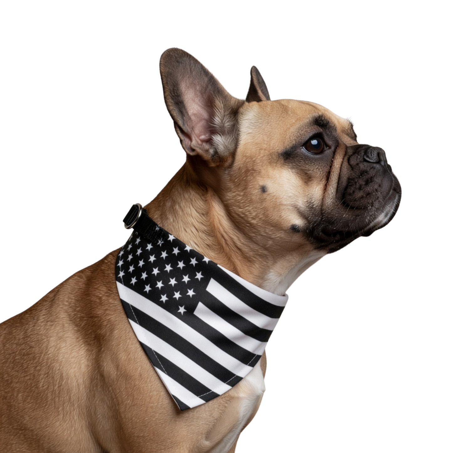 American Flag Clip-On Pet Bandana – Black & White Patriotic Collar Accessory