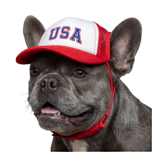 USA Foam Dog Trucker Hat – Patriotic Mesh Cap