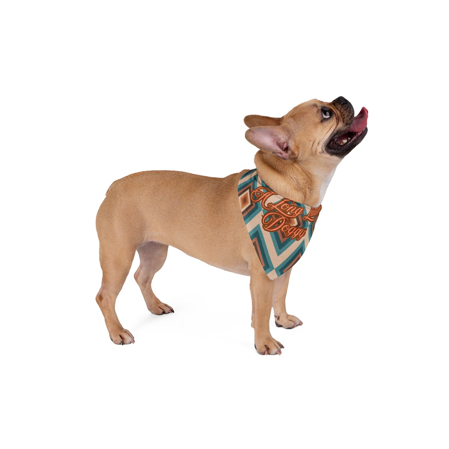 Retro Chevron 'A Long Little Doggy' Pet Bandana — Boho Dog Accessory