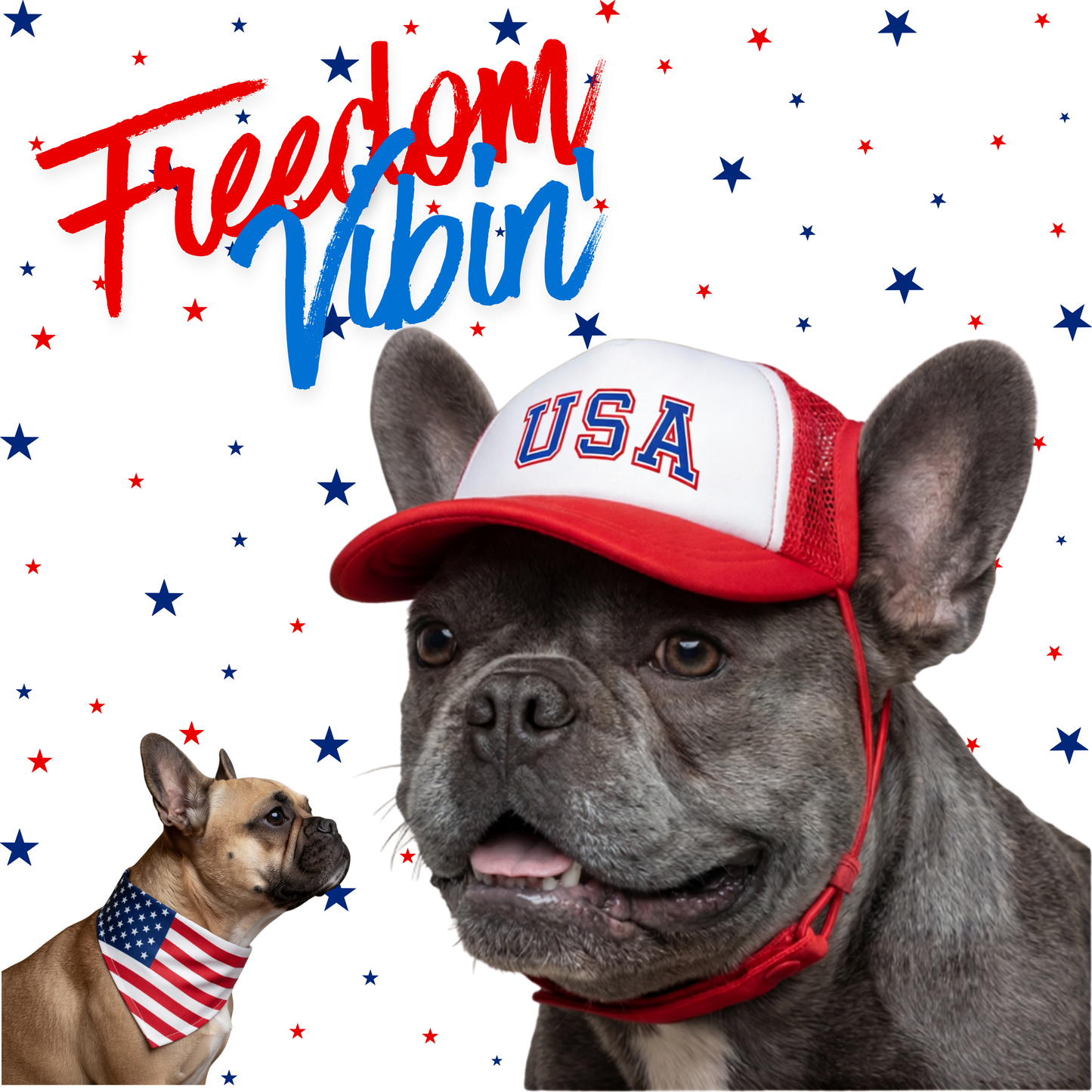 Pup Swag Bundle